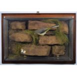 Taxidermy: A Wall Cased Grey Wagtail (Motacilla cinerea), by Mike Gadd, Taxidermy, Boston Spa,