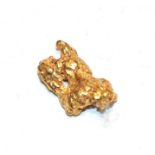 A gold nugget, 7 grams approximately