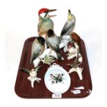 A group of Karl Ens porcelain bird models etc . Paint repair to the breast of the woodpecker. Tail