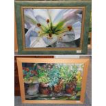 Nancy Murgatroyd (contemporary) Study of a Lily Signed oil on canvas together with a further oil
