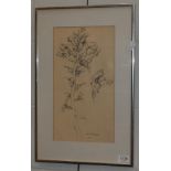 David Blackburn MBE (1939-2016) ''Plant Study'' Signed and dated 1963, pastel, 38.5cm by 21cm