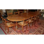 A Regency style yew wood extending dining table with three leaves, supported by three pedestals,