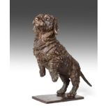 Sally Arnup FRBS, ARCA (1930-2015) ''Miniature Wire Haired Dachshund 'Bertie''', 2009 Signed and