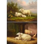 Albert Jackson (19th/20th century) Sheep at rest in a landscape Sheep in a stable Each signed and