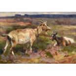 Frederick (Fred) Hall (1860-1948) Goats in a landscape Signed, oil on board, 18.5cm by 27cm See