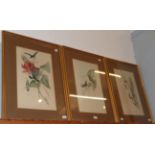 After John Gould, three hand-embellished ornithological prints, 50cm by 30.5cm (3)