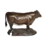 A bronze model of a Bull, signed Gofill, 27cm high by 40cm long