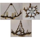 Antler Furniture: Red Deer & Fallow Antler Mounted Chandeliers, circa late 20th century, a Red