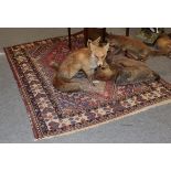 A Kashgai rug, the strawberry field centred by a hut medallion, framed by ivory bordered, 206cm by