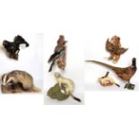 Taxidermy: European Game Birds & Animals, circa late 20th century, comprising - full mount