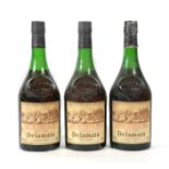Delamain Cognac, Trés Belle Grande Champagne Cognac Pale & Dry (three bottles)
