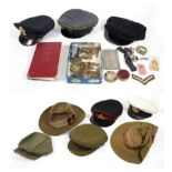 A Quantity of Militaria, including cap badges, shoulder titles, cloth insignia, buttons,