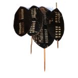 A 20th Century Zulu Black Cow Hide Shields, of elliptical form,