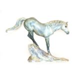 Royal Worcester 'Connemara Stallion' ''Cocum Hawkstone'', model No. RW4037 by Lorne McKean,