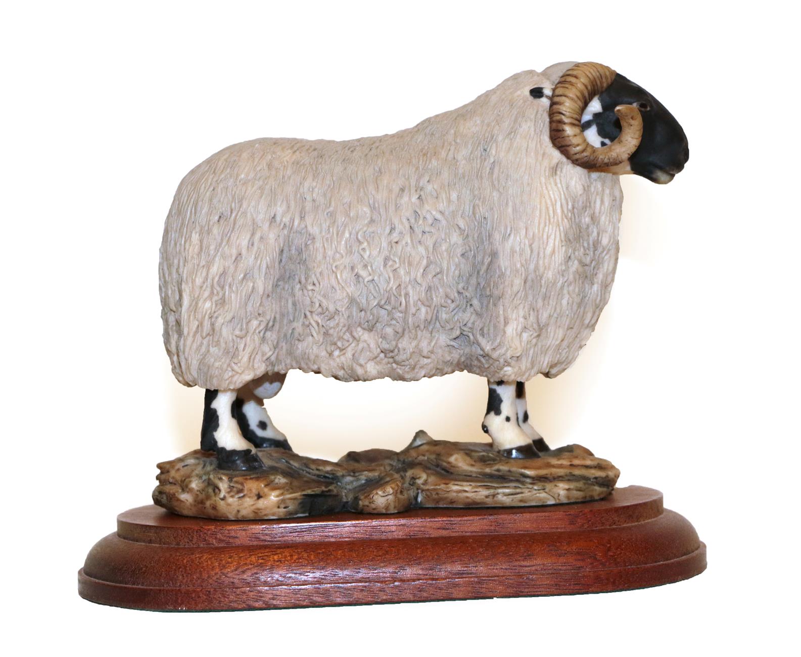 Border Fine Arts 'Blackfaced Tup' (Style One), model No. L15 by Mairi Laing Hunt, limited edition