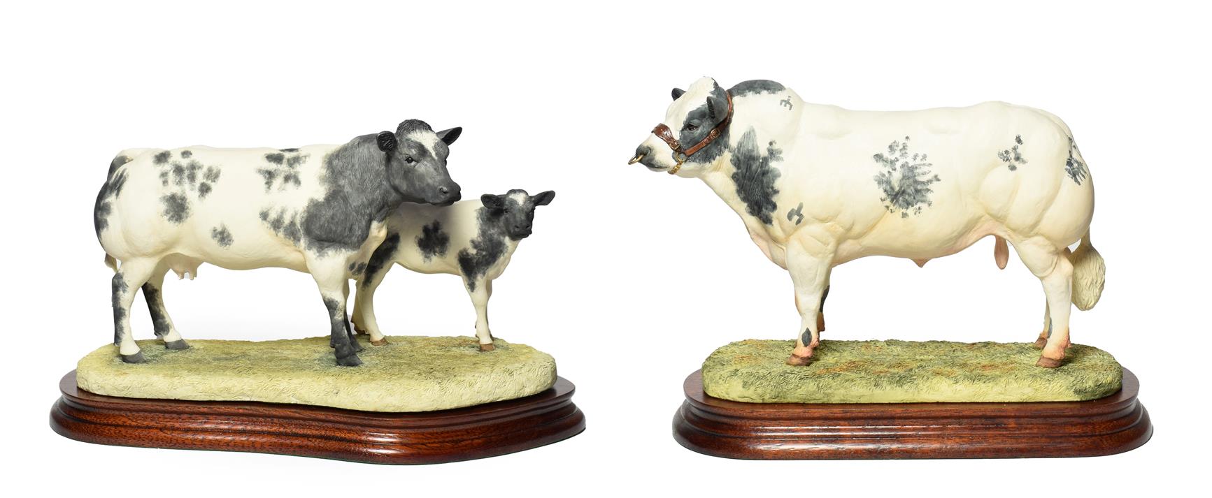 Border Fine Arts 'Belgian Blue Cow and Calf' (Style One), model No.B0590 by Ray Ayres, limited