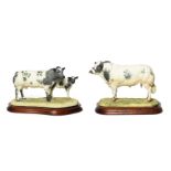 Border Fine Arts 'Belgian Blue Cow and Calf' (Style One), model No.B0590 by Ray Ayres, limited