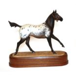 Royal Worcester 'Appaloosa Stallion' ''Imboden's Driftwood Bob'', model No. RW3869 by Doris Lindner,