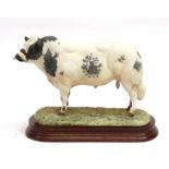 Border Fine Arts 'Belgian Blue Bull' (Style One), model No. B0406 by Ray Ayres, limited edition