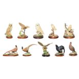 Border Fine Arts Bird Groups Including: 'Silent Sanctuary' (Barn Owl), model No. SOC1 and 'Barn Owl'