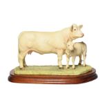 Border Fine Arts 'Charolais Cow and Calf' (Style One), model No. L137 by Ray Ayes, limited edition