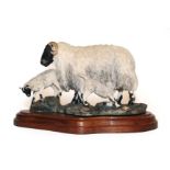 Border Fine Arts 'Blackfaced Ewe and Lambs' (Style One), model No. L25 by Mairi Laing Hunt,