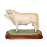 Border Fine Arts 'Charolais Bull' (Style One), model No. L112 by Ray Ayres, limited edition 894/