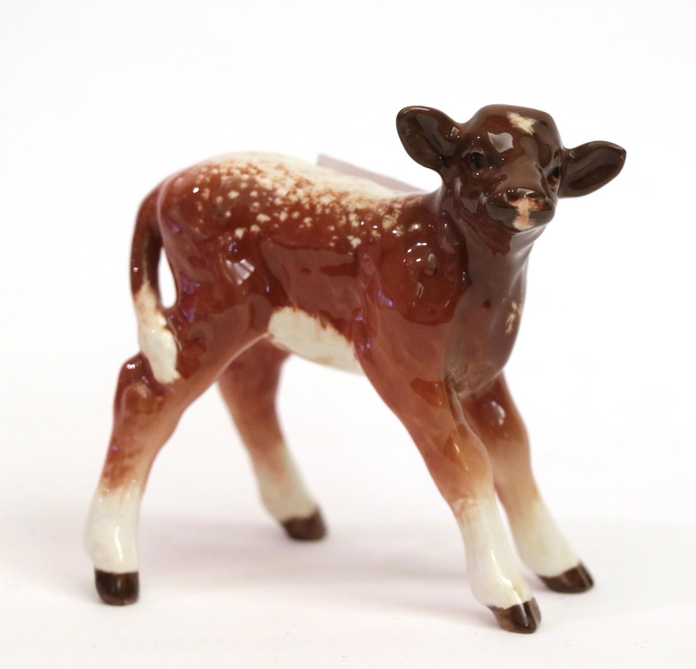 Beswick Dairy Shorthorn Calf, model No. 1406C, brown and white gloss with shading