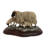 Border Fine Arts 'Blackfaced Ewe and Lambs' (Style One), model No. L25 by Mairi Laing Hunt,