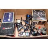 A box of sea and coarse fishing fixed spool reels, inc. a DAM5001 boxed with papers, a Daiwa 7700