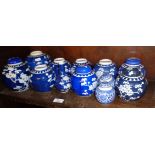 Large quantity of Chinese prunus jars (11)
