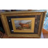 Aster R.C. CORBOULD (1812-1877) watercolour of a Highland Bull mounted in a 21" x 28" gilt frame,
