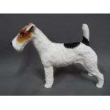 A Royal Doulton figurine depicting a rough haired terrier (dog), approx 19.