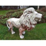 A life size model of a male lion, approximately 135 cm (h) and 175 cm (l).