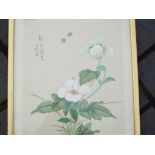 A framed watercolour and ink painting depicting flowers and insects, signed to the left,