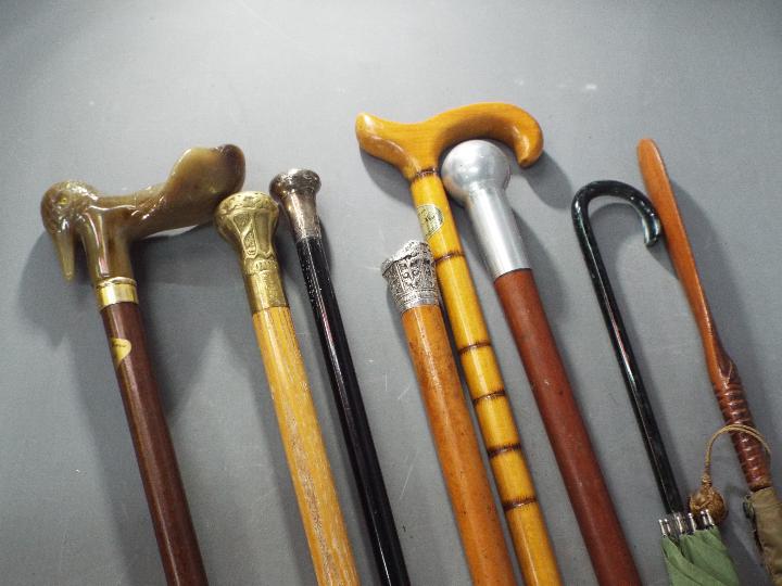 A mixed collection of walking sticks and umbrellas containing 2 silver topped walking sticks. - Image 2 of 3