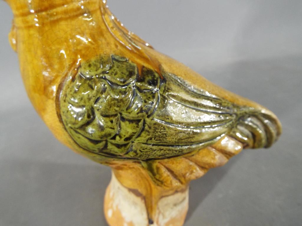 A rare Chinese Tang dynasty, sancai glaze funeral figure depicting a bird with a canine head. - Image 5 of 6