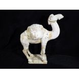 A large Chinese Tang dynasty terracotta camel modelled standing on a rectangular base,