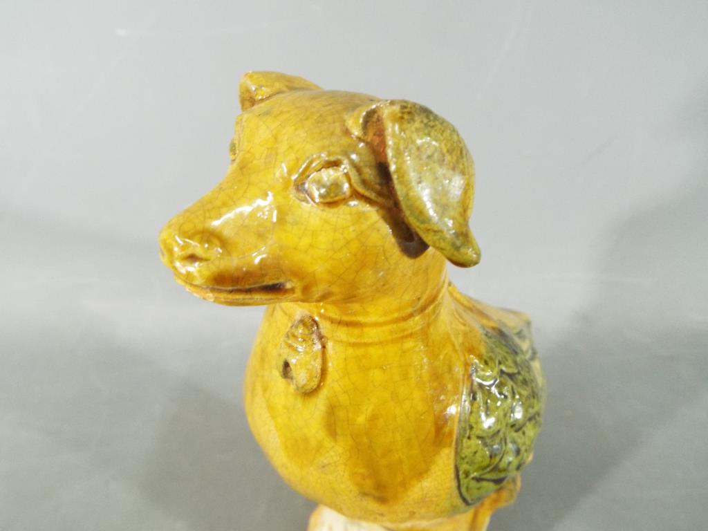 A rare Chinese Tang dynasty, sancai glaze funeral figure depicting a bird with a canine head. - Image 4 of 6