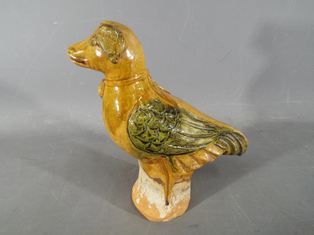 A rare Chinese Tang dynasty, sancai glaze funeral figure depicting a bird with a canine head.