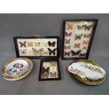 Entomology - Three framed butterfly displays containing 29 examples with name plates,