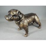 A cast figure of a Pitbull Dog, which stands approximately 19 cms in height.