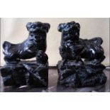 A pair of Chinese, black soapstone carvings depicting Imperial Guardian or Buddhist Lions,