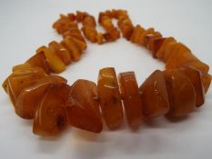 A necklace of graduated amber chips, the largest approximately 29 mm x 19 mm, smallest 8 mm x 5 mm,