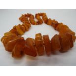 A necklace of graduated amber chips, the largest approximately 29 mm x 19 mm, smallest 8 mm x 5 mm,