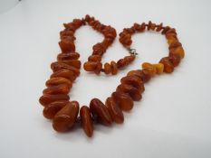 A graduated amber bead necklace of graduated amber chips, largest approximately 20 mm x 8 mm,