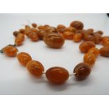 An amber bead necklace (in need of re-stringing), largest bead 30 mm x 20 mm,