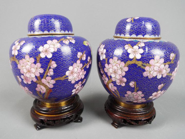 A pair of Chinese cloisonné covered ginger jars decorated with blossom and insects on a blue ground,