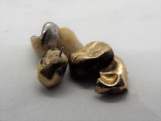 A collection of dental gold (still with enamel attached), approximately 5.4 grams all in.