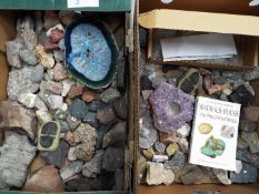 A large quantity of geological and mineral samples, fossils, cast fossil replicas and similar.